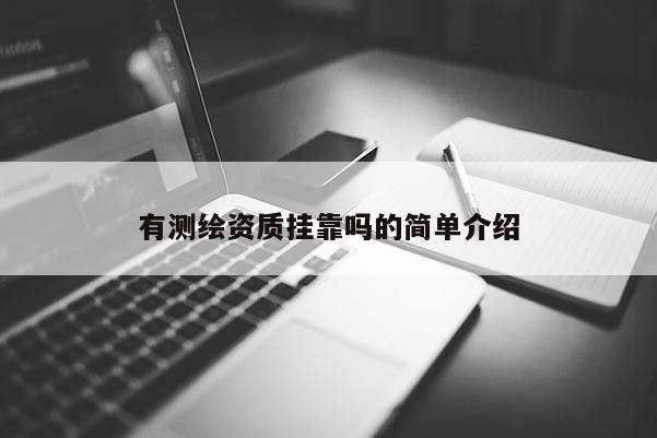 有測繪資質(zhì)掛靠嗎的簡單介紹