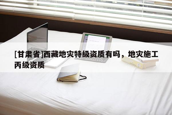 [甘肅省]西藏地災(zāi)特級(jí)資質(zhì)有嗎，地災(zāi)施工丙級(jí)資質(zhì)