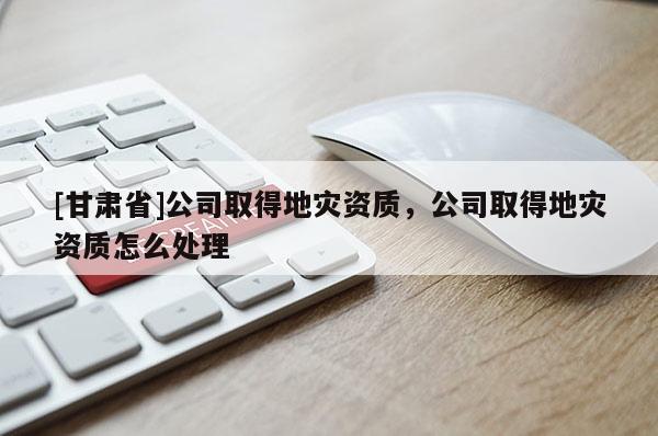 [甘肅省]公司取得地災(zāi)資質(zhì)，公司取得地災(zāi)資質(zhì)怎么處理