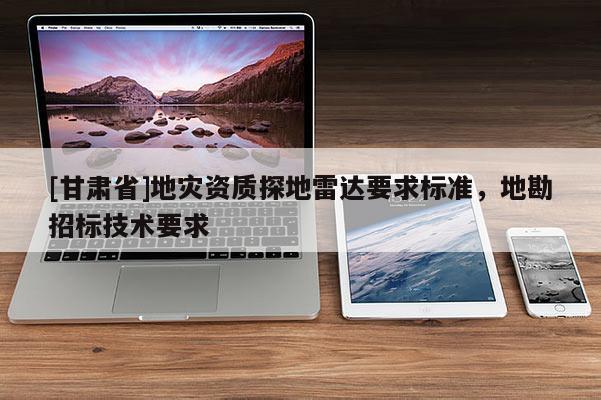 [甘肅省]地災(zāi)資質(zhì)探地雷達(dá)要求標(biāo)準(zhǔn)，地勘招標(biāo)技術(shù)要求