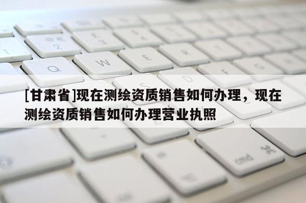 [甘肅省]現(xiàn)在測(cè)繪資質(zhì)銷售如何辦理，現(xiàn)在測(cè)繪資質(zhì)銷售如何辦理營業(yè)執(zhí)照