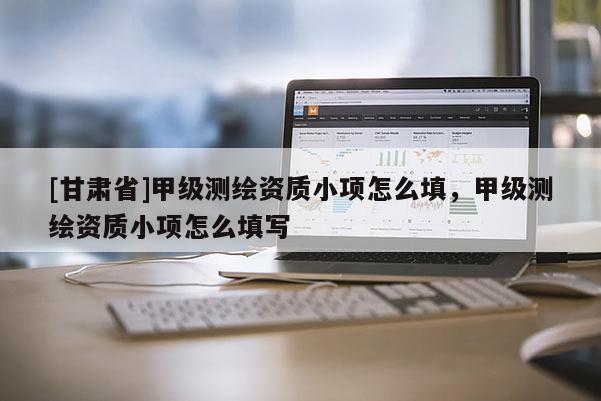 [甘肅省]甲級(jí)測(cè)繪資質(zhì)小項(xiàng)怎么填，甲級(jí)測(cè)繪資質(zhì)小項(xiàng)怎么填寫