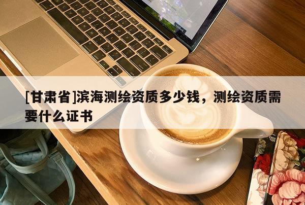 [甘肅省]濱海測(cè)繪資質(zhì)多少錢，測(cè)繪資質(zhì)需要什么證書