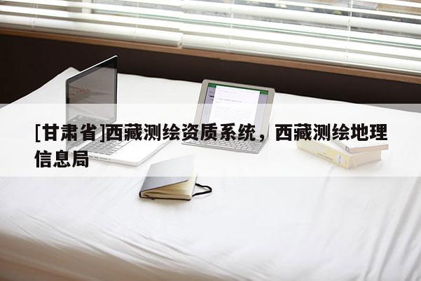 [甘肅省]西藏測(cè)繪資質(zhì)系統(tǒng)，西藏測(cè)繪地理信息局