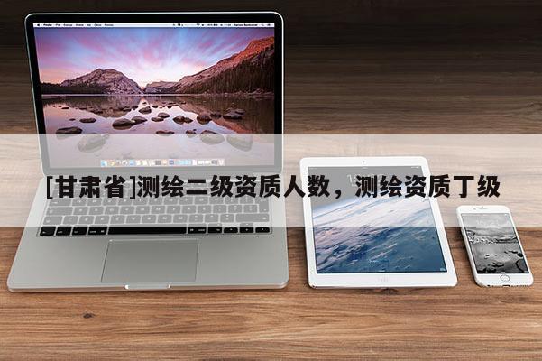 [甘肅省]測繪二級資質(zhì)人數(shù)，測繪資質(zhì)丁級