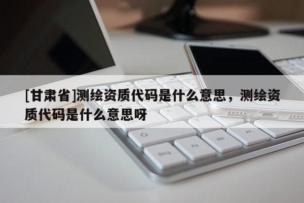 [甘肅省]測繪資質(zhì)代碼是什么意思，測繪資質(zhì)代碼是什么意思呀