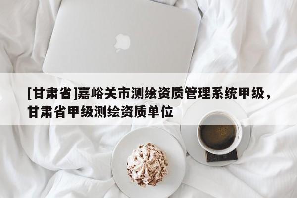 [甘肅省]嘉峪關(guān)市測繪資質(zhì)管理系統(tǒng)甲級，甘肅省甲級測繪資質(zhì)單位
